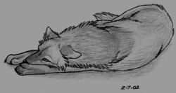  ambiguous_gender canid canine canis claws dated ears_down feral fur graphite_(artwork) grey_background greyscale lying mammal monochrome paws pencil_(artwork) pivoted_ears simple_background snout solo tail traditional_media_(artwork) unknown_artist wolf 