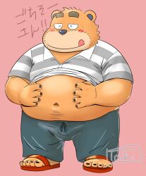  2024 anthro bear belly big_belly blush bottomwear brown_body closed_eyes clothed clothing exclamation_point footwear kemono male mammal navel overweight overweight_male pants raised_clothing raised_shirt raised_topwear sandals shirt shoes simple_background solo tongue tongue_out topwear toshi_(artist) 