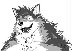  anthro barrel_(live_a_hero) canid canine canis countershading lifewonders live_a_hero male mammal monochrome muscular muscular_anthro muscular_male natsunouro naughty_face pecs smile solo wolf 