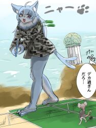  2023 3:4 ahoge ambiguous_gender anthro biped blue_body blue_fur bottomless bugurugu camo camo_clothing camo_jacket camo_print camo_topwear clothed clothing domestic_cat duo felid feline felis fur hair hamu_chunchun jacket japan_air_self-defense_force japanese_text kemono macro male_(lore) mammal murid murine neck_tuft nya omaneko_(jasdf) open_mouth open_smile pattern_clothing pattern_topwear rat red_eyes rodent size_difference smile sound_effects sport tennis tennis_court text topwear tuft vocalization white_body white_fur 