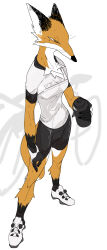  2020 absurd_res anthro athletic athletic_anthro athletic_female bicycle biped bodily_fluids bottomwear canid canine clothing female footwear fox fur glistening glistening_clothing hi_res lacing mammal markings mole_(marking) orange_body orange_fur quququl shoelaces shoes shorts simple_background sneakers solo spandex spandex_shorts sweat tight_bottomwear tight_clothing tight_shorts vehicle white_background white_body white_fur 