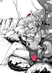  animal_ears autumn_leaves breasts female greyscale hat highres inubashiri_momiji leaf maple_leaf monochrome outdoors qingwa_chi_she red_eyes red_hat short_hair sitting solo tail tokin_hat touhou wet wolf_ears wolf_girl wolf_tail 