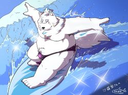  anthro bandage bandage_on_face belly bulge canid canine canis clothing domestic_dog fur hair lifewonders live_a_hero male mammal moobs navel nipples nordic_sled_dog overweight ponytail samoyed sea shachi_ojisan solo speedo spitz surfboard surfing swimwear water white_body white_fur yohack 