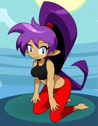  armpits arms_up barefoot black_sports_bra blue_eyes blue_sky breasts collarbone crop_top dark-skinned_female dark_skin datwondoude female full_body highres kneeling long_hair looking_at_viewer medium_breasts midriff pants pointy_ears ponytail purple_hair red_pants shantae shantae_(series) shiny_skin skindentation sky smile solo sports_bra standing sun tan tank_top very_long_hair wayforward workout_clothes 