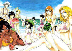  6+girls arisawa_tatsuki ass beach bikini black_hair bleach blonde_hair blue_sky breasts butt_crack dark-skinned_female dark_skin food fruit grey_hair highres hinamori_momo huge_breasts inoue_orihime ise_nanao kotetsu_isane kotetsu_kiyone kubo_tite kuchiki_rukia kurotsuchi_nemu kusajishi_yachiru looking_at_viewer matsumoto_rangiku multiple_girls non-web_source official_art one-piece_swimsuit open_mouth orange_hair pink_hair sarugaki_hiyori shiba_kuukaku shihouin_yoruichi sky smile sui-feng swimsuit thigh_gap unohana_retsu watermark watermelon watermelon_slice 