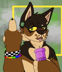  absurd_res alternative_fashion anthro bong bracelet canid canine digital_media_(artwork) drugs emo flesh_tunnel gesture hand_gesture hi_res jewelry justsomeratz male mammal middle_finger piercing ranger simple_background smoke solo tongue tongue_out tongue_piercing 