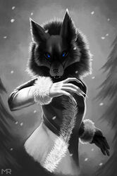  2022 alice_the_vixen anthro blue_eyes canid canine claws clothing coat fangs female forest fox fur greyscale hi_res hybrid mammal monochrome multicolored_body multicolored_fur open_mouth plant smile snow solo spruce standing teeth tiny_bunny topwear tree winter winter_coat 