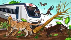  16:9 ambiguous_gender atelid bat blue_sky deforestation destruction environmentalism felid group haplorhine hi_res jaguar mammal mexico monkey new_world_monkey pantherine plant primate real_world running sky spider_monkey tapir train tree tren_maya unknown_artist vehicle widescreen 