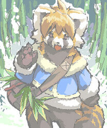  2009 5:6 ailurid ambiguous_gender anthro biped clothed clothing fur kemono low_res mammal orange_body orange_fur outside paws red_panda snow solo sweater tatotake_mono topwear 