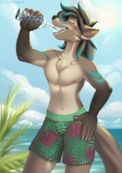  2020 5_fingers anthro beach bottomwear canid canine closed_eyes clothed clothing diaminerre digital_media_(artwork) domestic_cat eyebrows felid feline felis fingers fox fur hair hybrid male mammal multicolored_body multicolored_fur outside partially_clothed portrait seaside shorts simple_background smile solo sun takkin teeth three-quarter_portrait tongue topless water 