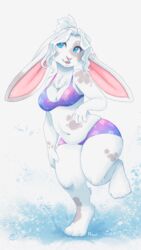  2023 4_toes 5_fingers anthro belly big_breasts bikini blue_eyes breasts buckteeth chest_tuft claws cleavage clothed clothing digital_media_(artwork) eye_patch_(marking) facial_markings feet female fern_(tasanko) fingers fur grey_markings hair head_markings lagomorph leporid lips long_ears mammal markings mottled navel noviraine open_mouth open_smile patch_(marking) pattern_bikini pattern_clothing pattern_swimwear pink_inner_ear pink_lips pink_nose ponytail purple_bikini purple_clothing purple_swimwear rabbit simple_background slightly_chubby slightly_chubby_female smile solo swimwear teeth thick_thighs toes tuft water white_background white_body white_fur white_hair wide_hips 