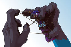  2021 4_fingers 5_fingers ailurid anthro big_dom_small_sub black_claws black_pawpads blue_body blue_clothing blue_fur blue_underwear bondage bondage bottomwear bound canid canine claws clothing dominant duo entangled entangled_in_yarn extreme_size_difference fingers fox fur green_eyes grey_body grey_fur hair hi_res holding_character hybrid larger_anthro male mammal mekuto_(wahsune) micro micro_anthro micro_in_hand micro_in_yarn pawpads paws purple_body purple_fur purple_hair red_panda restraints rope rope_bondage rope_harness size_difference smaller_anthro string submissive submissive_male tail tail_mouth tirrel tongue trapped trapped_in_net underwear unusual_anatomy unusual_tail yarn yellow_nose yellow_pawpads zeph_(chitterbeast) 