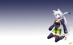  animal_ears catgirl green_eyes konshin original tail thighhighs white_hair 