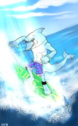  5:8 anthro beach board bottomwear cetacean clothing dolphin hi_res male mammal marine oceanic_dolphin sea seaside shorts solo surf surfing swimming swimming_trunks swimwear toothed_whale water 