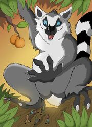  2019 5_fingers anthro blue_eyes fingers food fruit fur grabbing grass group lemur male mammal micro multicolored_body multicolored_fur nude open_mouth plant plantigrade primate ring-tailed_lemur size_difference strepsirrhine tree vegabone 