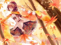  autumn autumn_leaves black_skirt brown_flower brown_hair brown_rose closed_mouth commentary_request eyelashes female floral_print flower forest frills from_behind hair_between_eyes hand_fan hat highres hourai_kiriri leaf_print leg_up looking_at_viewer looking_back nature no_wings orange_footwear orange_scarf pink_flower pink_rose pom_pom_(clothes) puffy_short_sleeves puffy_sleeves red_eyes red_hat rose rose_print scarf shameimaru_aya shirt shoes short_sleeves skirt sky smile solo standing standing_on_one_leg teeth tokin_hat touhou tree white_shirt white_sky yellow_scarf 