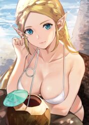  big_breasts coconut demigoddess female female_focus female_only j@ck long_hair nintendo princess_zelda solo solo_female solo_focus the_legend_of_zelda the_legend_of_zelda:_breath_of_the_wild zelda_(breath_of_the_wild) 