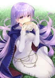  absurdly_long_hair absurdres belly_chain blue_cape blue_dress braid breasts burger cape commission commissioner_upload dated dress eating expressionless female fire_emblem fire_emblem:_the_binding_blade food french_braid fujiwara_minaho grass highres jewelry long_hair medium_breasts navel purple_eyes purple_hair sitting solo sophia_(fire_emblem) very_long_hair 