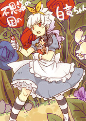  2boys alice_(alice_in_wonderland) alice_(alice_in_wonderland)_(cosplay) alice_in_wonderland bloomers carrying character_name commentary_request cosplay crossdressing digital_media_player dress earbuds earphones flower hair_ornament hakuryuu_(inazuma_eleven) inazuma_eleven_(series) inazuma_eleven_go ipod ipod_nano long_hair male_focus multicolored_hair multiple_boys open_mouth pocket_watch short_hair shuu_(inazuma_eleven) tobi_(one) translated two-tone_hair watch 