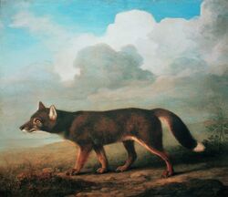  1772 18th_century ambiguous_gender ancient_art brown_body canid canine canis cloud dingo feral formal_art george_stubbs looking_away mammal oil_painting_(artwork) outside painting_(artwork) solo traditional_media_(artwork) walking 