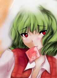  bad_id bad_pixiv_id blush condom condom_in_mouth female green_hair kazami_yuuka mouth_hold paint.net_(medium) plaid plaid_vest red_eyes ripu_(lipi) short_hair solo touhou vest 