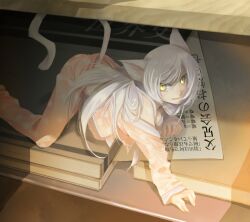  animal_ears bakemonogatari black_hanekawa cat_ears commentary_request female hanekawa_tsubasa long_hair md5_mismatch monogatari_(series) nasuo224 nekomonogatari pajamas solo white_hair yellow_eyes 