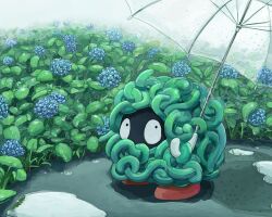  commentary_request flower guodon holding hydrangea nature no_humans plant pokemon pokemon_(creature) rain scenery tangela transparent transparent_umbrella umbrella 