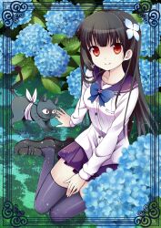  baabu bad_id bad_pixiv_id black_hair black_thighhighs blush bow bowtie feline female flower hair_flower hair_ornament hydrangea long_hair nekosugi_(hoshi) red_eyes sanka_rea sankarea school_uniform serafuku sitting skirt smile solo thighhighs zettai_ryouiki 