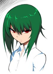  bad_id bad_pixiv_id dress_shirt female green_hair kazami_yuuka mattari_yufi red_eyes scowl shirt solo touhou upper_body 