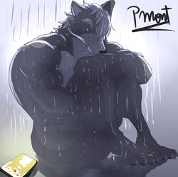  anthro ass bathroom canid canine canis cellphone claws electronics feet finger_claws fur grey_body grey_fur heart_symbol lgbt_pride looking_down male male/male mammal multiple_images muscular muscular_anthro muscular_male nintendo nude paws phone pinumontbalou pride_colors pride_heart rainbow_pride_colors rainbow_symbol shower simple_background sitting six-stripe_rainbow_pride_colors smartphone solo star_fox toe_claws water wet wet_body wet_fur wolf wolf_o&#039;donnell 