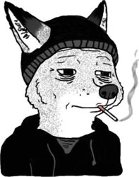  alpha_channel anonymous_artist anthro canid canind canine cigarette clothing doomer fox low_res male mammal meme reaction_image solo 