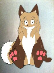  aigsaft anthro averi_(fiddleafox) brown_body brown_fur canid canine colored dipstick_tail female female_anthro fox fur gloves_(marking) hair hand_on_knee hand_on_leg hi_res leg_markings looking_at_viewer mammal markings pawpads paws simple_background sitting socks_(marking) solo tail tail_markings third-party_edit white_body white_fur 