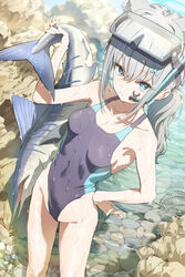  absurdres animal_ear_fluff animal_ears applepie_(12711019) black_one-piece_swimsuit blue_archive blue_eyes breasts competition_swimsuit covered_navel cross_hair_ornament diving_mask diving_mask_on_head duplicate extra_ears feet_out_of_frame female fish from_above goggles goggles_on_head grey_hair hair_ornament halo highres low_ponytail medium_breasts medium_hair mismatched_pupils multicolored_clothes multicolored_swimsuit official_alternate_costume one-piece_swimsuit pixel-perfect_duplicate rock shiroko_(blue_archive) shiroko_(swimsuit)_(blue_archive) snorkel solo standing swimsuit swordfish wet wolf_ears 