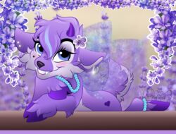  accessory beads deer ear_piercing faerie_neopet fairy fangs faun female feral flower flower_in_hair fluffy hair hair_accessory heart_symbol hooves ixi_(neopets) jumpstart_games lavender_(flower) mammal neopet_(species) neopets piercing plant solo streak teeth thepinkdemon wings wisteria_(flower) 