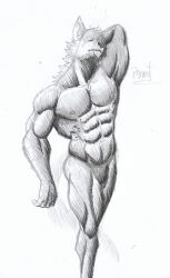  anthro arctic_fox ass barazoku bottomwear canid canine canis clothing ears_up epic_games fortnite fox hi_res male mammal muscular muscular_anthro muscular_male nipples pinumontbalou raised_arm solo tail tight_clothing true_fox underwear volpez_(fortnite) 