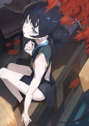  absurdres autumn_leaves black_dress black_hair blue_archive breasts china_dress chinese_clothes double_bun dragon_print dress female grey_eyes hair_bun hair_ornament halo highres kisaki_(blue_archive) long_hair looking_at_viewer sb_lama sitting sleeveless sleeveless_dress small_breasts twintails 