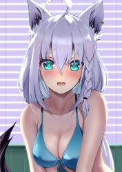  absurdres ahoge animal_ear_fluff animal_ear_piercing animal_ears aqua_eyes bikini black_ribbon blue_bikini blush braid breasts cleavage commentary crossed_bangs double-parted_bangs fox_ears fox_girl fox_tail front-tie_bikini_top front-tie_top hair_between_eyes hair_ribbon highres hololive indoors long_hair looking_at_viewer low_ponytail medium_breasts natsuki_(muravito) official_alternate_costume open_mouth ribbon shirakami_fubuki shirakami_fubuki_(hololive_summer_2019) side_braid single_braid straight-on swimsuit tail virtual_youtuber white_hair window_blinds 