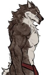  2024 absurd_res anthro azreto biped black_eyes bottomwear canid canine canis clothed clothing countershade_fur countershading fur grey_body grey_fur hi_res loincloth loincloth_only male mammal muscular muscular_anthro muscular_male red_bottomwear red_clothing red_loincloth red_sclera solo topless white_body white_countershading white_fur wolf 