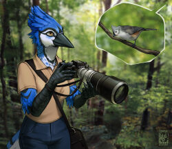  ambiguous_gender anthro avian bag bird bird_watching blue_jay blurred_background branch camera claws corvid digital_media_(artwork) duo female feral forest hi_res jay_(bird) new_world_jay oscine painting_(artwork) passerine plant purse stick techiesxc tree 