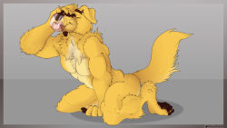  2024 anthro big_muscles biped canid canine canis domestic_dog fur male mammal muscular muscular_anthro muscular_male nude_anthro nude_male solo sushisushii yellow_body yellow_fur 