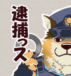  anthro barrel_(live_a_hero) blue_clothing blue_shirt blue_topwear cjk_character clothing cop_hat cuff_(restraint) fingerless_gloves fur gloves handcuffs handwear japanese_text lifewonders live_a_hero looking_at_viewer male meme metal_cuffs pinestrain police police_hat police_officer police_uniform police_vest restraints shirt simple_background solo text topwear uniform yellow_body yellow_fur 