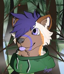  2020 absurd_res american_pine_marten anthro berry blep branch brown_body brown_fur bust_portrait cel_shading clothed clothing dark_pupils digital_media_(artwork) ears_up evergreen_tree fog food forest forest_background fruit fur grass gulonine hair hi_res hoodie iris kujo long_boi male mammal marten mustelid musteline nature nature_background orange_body orange_fur pine_marten pine_needles pine_tree plant portrait pupils purple_eyes shaded signature solo string teeth tongue tongue_out topwear tree water 