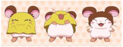  bedding blanket blush border brown_body brown_fur closed_eyes cricetid female feral fur hamster hamtaro_(series) mammal pattern_background penelope_(hamtaro) pichu90 rodent simple_background smile solo white_body white_border white_fur 