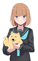  absurdres animal black_sailor_collar black_shirt blue_necktie brown_hair canine closed_mouth commentary doge english_commentary female gar32 highres holding holding_animal holding_dog long_sleeves looking_at_viewer medium_hair necktie original purple_eyes sailor_collar school_uniform serafuku shirt simple_background smile solo upper_body white_background 