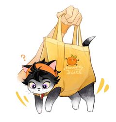  :&lt; ? animal animal_collar animalization bag black_cat collar english_text feline food fruit ginmu headband holding holding_animal holding_bag jojo_no_kimyou_na_bouken lifting_animal male_focus motion_lines narancia_ghirga orange_(fruit) print_bag purple_eyes strawberry tote_bag vento_aureo white_background wristband 