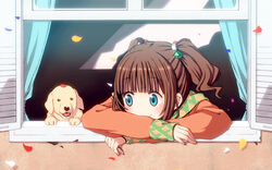  arm_rest bad_id bad_pixiv_id blue_eyes blush brown_hair canine chika_(orange_pop) crossed_arms curtains female from_outside highres idolmaster idolmaster_(classic) leaf looking_outside petals smile solo takatsuki_yayoi window windowsill 