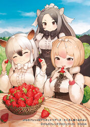  3girls animal_ears anteater_ears anteater_tail black_bow black_bowtie black_corset black_hair blonde_hair blush bow bowtie brown_eyes center_frills corset eating food frills fruit fur_collar giant_anteater_(kemono_friends) grey_hair hair_between_eyes kemono_friends kemono_friends_3 kemono_friends_3:_planet_tours koruse long_hair long_sleeves multicolored_hair multiple_girls official_art outdoors puffy_sleeves shirt silky_anteater_(kemono_friends) smile southern_tamandua_(kemono_friends) strawberry tail translated two-tone_hair white_bow white_bowtie white_fur white_hair white_shirt 