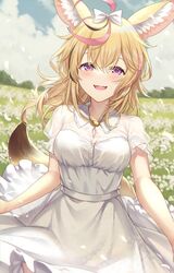  :d ahoge alternate_costume animal_ear_fluff animal_ears blonde_hair blue_sky blush bow breasts casual cloud commentary_request dress female field flower flower_field fox_ears fox_girl fox_tail hairbow heart heart-shaped_pupils highres hololive horizon ks_(xephyrks) long_hair multicolored_hair omaru_polka open_mouth outdoors pink_hair purple_eyes see-through see-through_shirt shirt sky smile solo streaked_hair symbol-shaped_pupils tail virtual_youtuber 