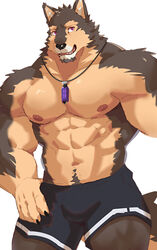  2023 abs absurd_res anthro athletic beard biceps big_arms big_biceps black_nose body_tuft bottomwear brown_body brown_fur brown_hair canid canine canis claws clothing domestic_dog eyebrows facial_hair facial_tuft fangs fur goatee hair hand_on_hip hand_on_leg hi_res jewelry kedama_299 lifewonders live_a_hero looking_aside male mammal multicolored_body muscular muscular_anthro muscular_arms muscular_legs muscular_male necklace nipples open_mouth pecs pose pubes pubraseer purple_eyes serratus sharp_teeth shorts simple_background solo tail tan_body tan_fur teeth tuft underwear white_background wolf 