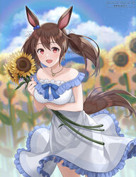  animal_ears bare_shoulders blue_bow blue_sky blurry blurry_background blush bow breasts brown_hair chikabo_m cloud cloudy_sky commentary_request cowboy_shot dress ear_ornament female field flower flower_field hair_between_eyes hishi_akebono_(umamusume) holding holding_flower horse_ears horse_girl horse_tail looking_at_viewer medium_breasts off-shoulder_dress off_shoulder open_mouth outdoors red_eyes sky smile solo sunflower sunflower_field tail twintails twitter_username umamusume white_dress 